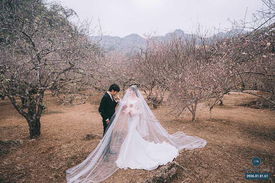 Top 5 điểm chụp ảnh cưới đẹp nhất Mộc Châu - BachTuyet