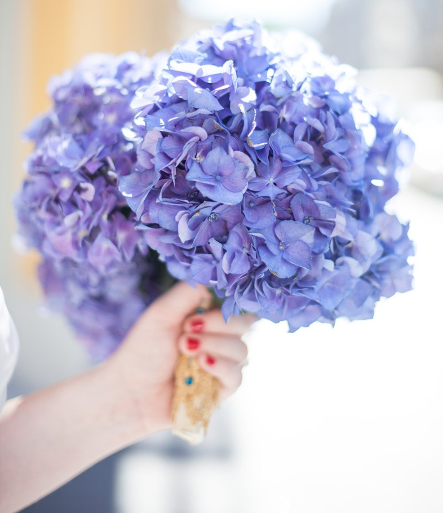 hoa cưới cầm tay phổ biến 2022 hoa cẩm tú cầu